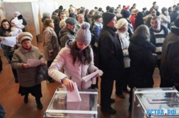 Выборы в Волоколамске прошли без сюрпризов